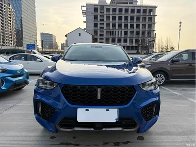 2017 WEY VV5 2.0T Flagship Model, фото 3, лот 10452029