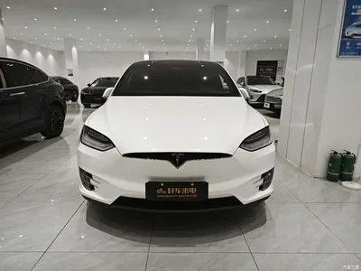 2019 Tesla Model X Long Range Version, фото 2, лот 10354362