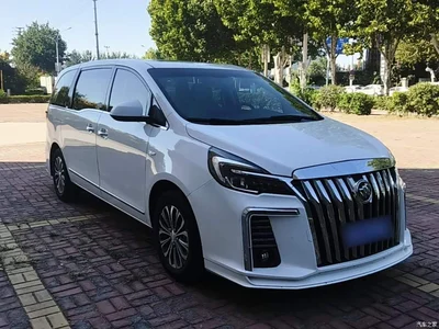 2022 Buick GL8 Land Business Class 652T Luxury, фото 4, лот 11579584