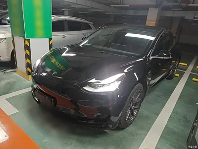2020 Tesla Model 3 Standard Range Rear-Wheel Drive Upgrade, фото 1, лот 10389713