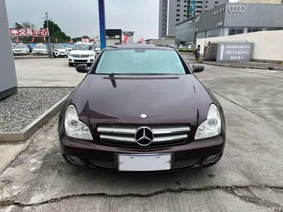 2009 Mercedes-Benz CLS 300, фото 1, лот 10306180