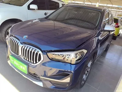 2021 BMW X1 sDrive20Li Exclusive, фото 1, лот 10467485