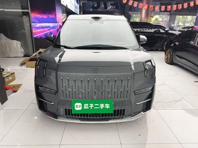 2024 ZEEKR 009 7-Seat Aisle Version 108kWh, фото 3, лот 10291846