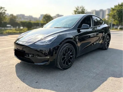 2021 Tesla Model Y Standard Range Rear-Wheel Drive, фото 1, лот 10403974