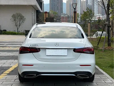 2021 Mercedes-Benz E-Class E 300 L Sport Fashion, фото 4, лот 10266593