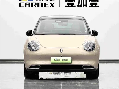 2021 Ora Good Cat 400km Standard Range Athena Edition (NCM), фото 2, лот 10330448