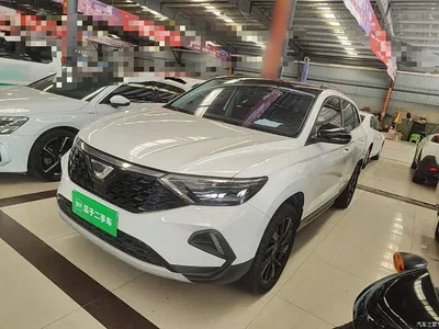 2021 Jetta VS7 Panda Edition 1.4T Auto Deluxe, фото 2, лот 10427269