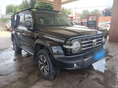 2023 Tank 300 Urban Edition 2.0T Very Stylish, фото 4, лот 10345452