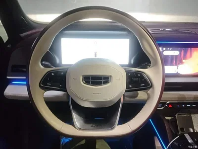 2024 Geely Xingyue L Model 2.0TD High-Power Automatic 2WD Cloudrise Edition, фото 3, лот 10311590