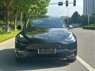 2022 Tesla Model Y Rear-Wheel Drive Version, фото 2, лот 10399622