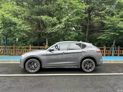 2017 Alfa Romeo Stelvio 2.0T 200HP Luxury Edition, фото 3, лот 11205295