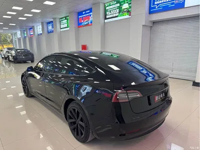 2019 Tesla Model 3 (Import) Long Range All-Wheel Drive Edition, фото 4, лот 11136155