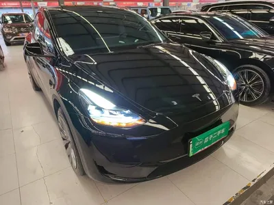 2022 Tesla Model Y Facelift Rear-Wheel Drive Version, фото 4, лот 11468975