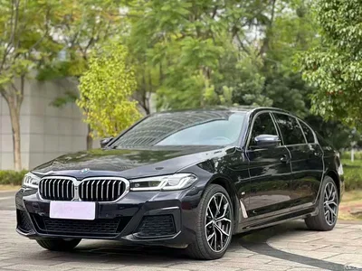 2022 BMW 5 Series Model Third Facelift 530Li Premium M Sport Package, фото 1, лот 11508752
