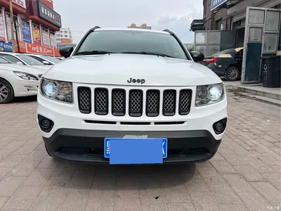 2014 Jeep Compass (Import) 2.4L 4WD Serpentine Collector's Edition, фото 2, лот 10290824