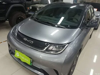 2021 BYD Dolphin Model 405km Fashion Edition, фото 1, лот 11194778