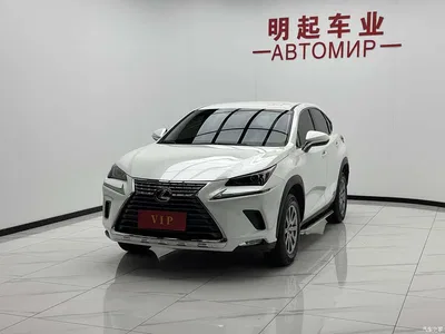 2020 Lexus NX 200 FWD Sharp Edition China VI, фото 4, лот 10312450