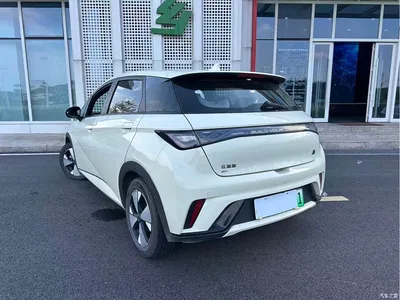 2023 BYD Dolphin 420km Fashion Edition, фото 3, лот 10255362