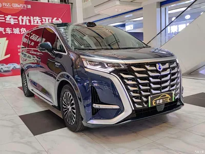 2025 Denza D9 DM-i Smart Drive Edition 1020 AWD Luxury, фото 3, лот 11137056