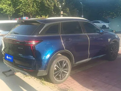 2020 Venucia Star 260T Automatic 48V Mild Hybrid Turbo Starlight Edition, фото 3, лот 11153776