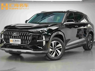 2024 Audi Q6 40 TFSI quattro Cloud View Yulin Package 7-seater, фото 1, лот 11567705