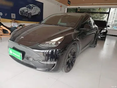 2021 Tesla Model Y Standard Range Rear-Wheel Drive, фото 1, лот 10390321
