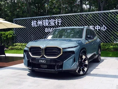 2023 BMW XM Model Base, фото 1, лот 10408823