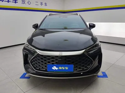 2024 BYD Tang New Energy DM-i Honor Edition 112KM Premium, фото 2, лот 10838322