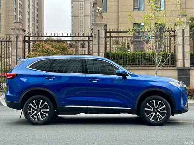 2021 Haval H6 3rd Gen 1.5T Auto 2WD Pro, фото 3, лот 10300882