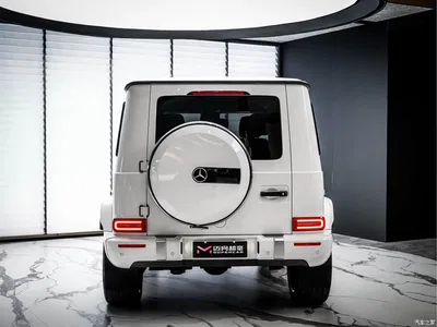 2022 Mercedes-Benz G-Class, фото 4, лот 11565702