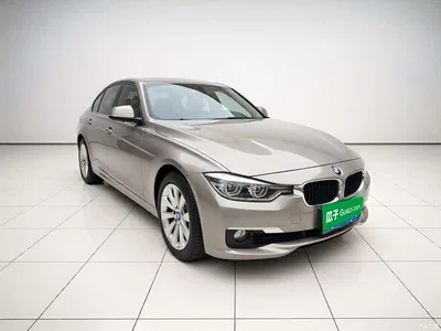 2017 BMW 3 Series 318Li Fashion, фото 3, лот 11180905