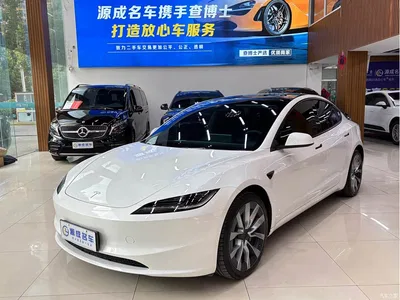 2023 Tesla Model 3 Long Range All-Wheel Drive, фото 1, лот 10354025