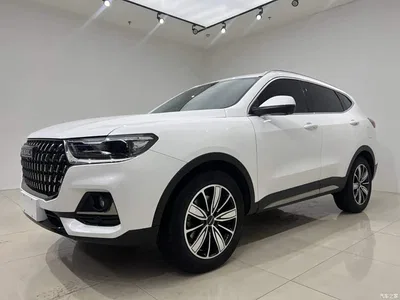 2023 Haval H6 National Trend Edition 1.5T Automatic Champion, фото 3, лот 10286667