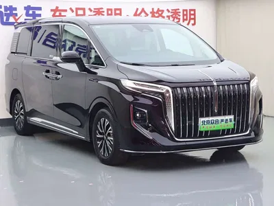 2024 Hongqi HQ9 PHEV Model 2.0T AWD Luxury Edition, фото 2, лот 10286628
