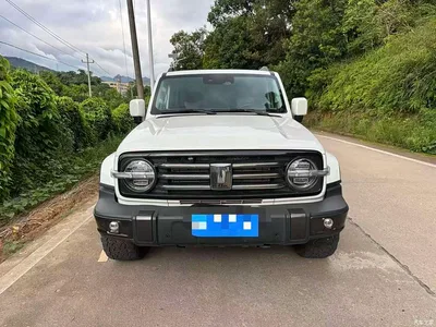 2023 Tank 300 Urban Edition 2.0T Must-Have Type, фото 2, лот 10453247