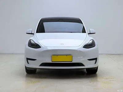 2024 Tesla Model Y Rear-Wheel Drive Version, фото 2, лот 11074867