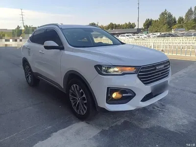 2019 Haval H6 Blue Label 1.5GDIT Automatic Super Luxury Smart Connect Edition, фото 4, лот 11007468