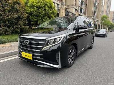 2021 GAC Trumpchi Trumpchi M8 Leading Show Series 390T Premium Edition, фото 1, лот 10414490