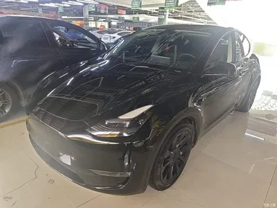 2021 Tesla Model Y Standard Range Rear-Wheel Drive, фото 2, лот 10370643