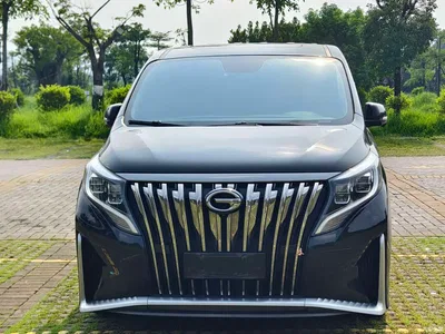 2021 GAC Trumpchi Trumpchi M8 Master Series 390T Ultimate Edition, фото 2, лот 11549831
