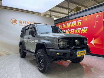 2021 Tank 300 Off-road Version 2.0T Conqueror, фото 4, лот 10345187