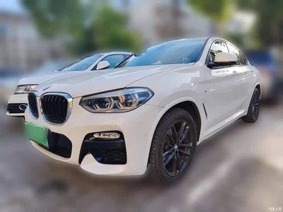 2019 BMW X4 xDrive25i M Sport Package, фото 2, лот 10390080