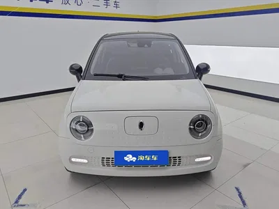 2021 Ora Black Cat 351km Luxury Model, фото 2, лот 10330663