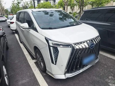 2023 GAC Trumpchi Trumpchi M8 Model Master Series Hybrid Royal Edition, фото 4, лот 10394644