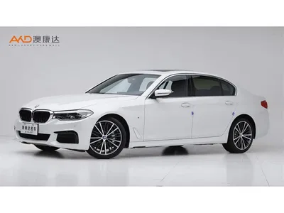 2020 BMW 5 Series 530Li Leading M Sport Package, фото 1, лот 10593425