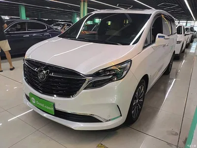 2022 Buick GL8 ES Landmark 653T Luxury, фото 2, лот 10258137