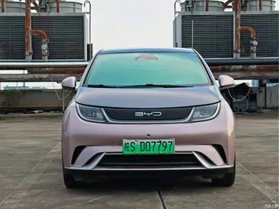 2021 BYD Dolphin 401km Knight Edition, фото 2, лот 10254755