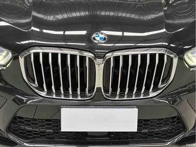 2019 BMW X5 (Import) xDrive40i M Sport Package, фото 4, лот 10414749
