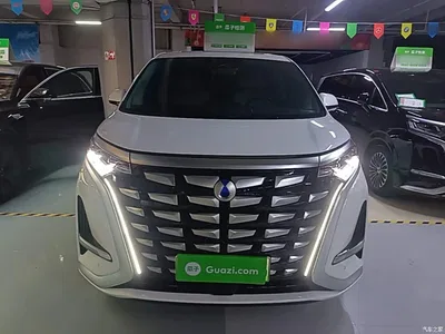 2024 Denza D9 DM-i 980 AWD Prestige, фото 3, лот 11461517