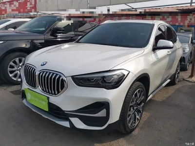 2020 BMW X1 xDrive25Li Premium Edition, фото 2, лот 10467833